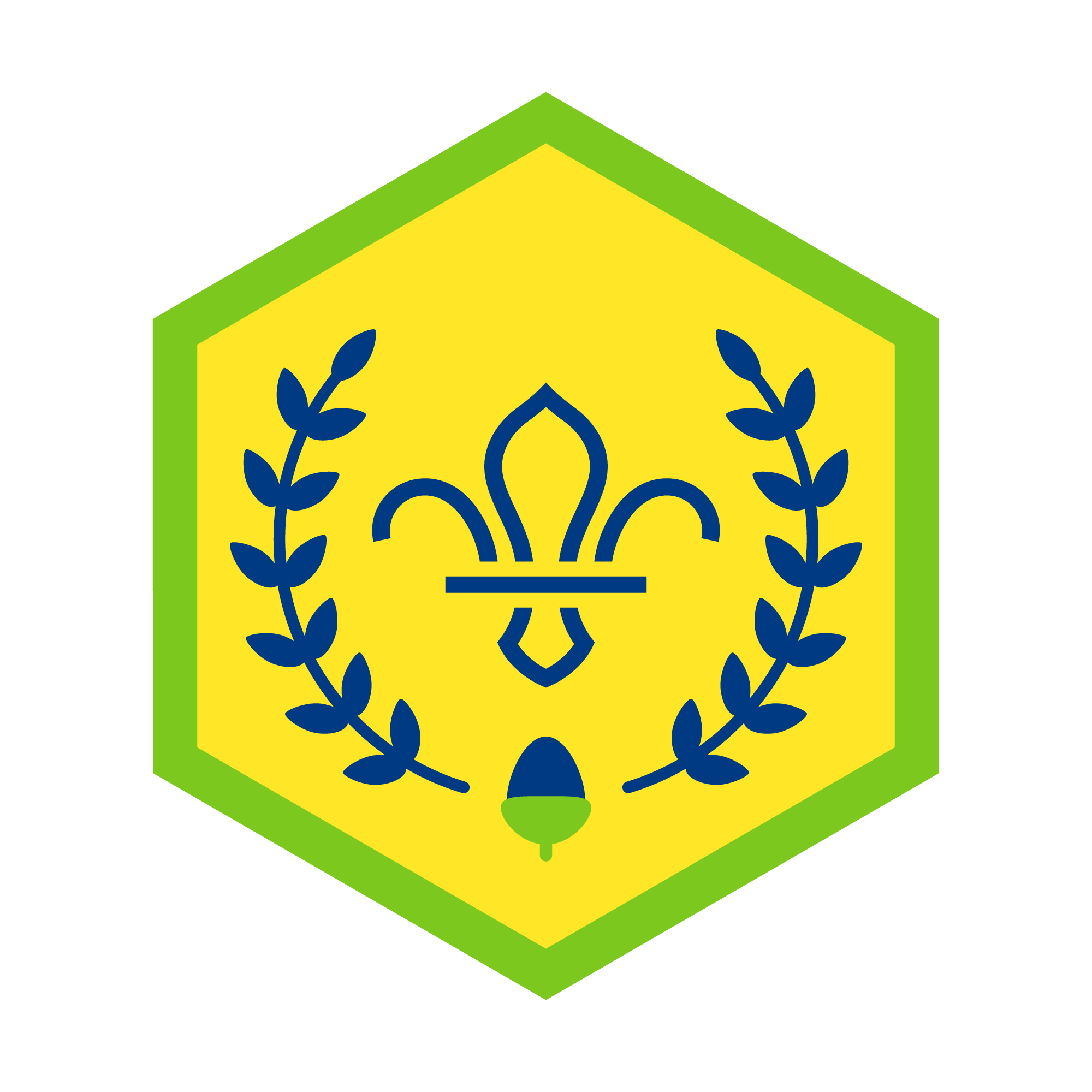 Acorn Award Badge