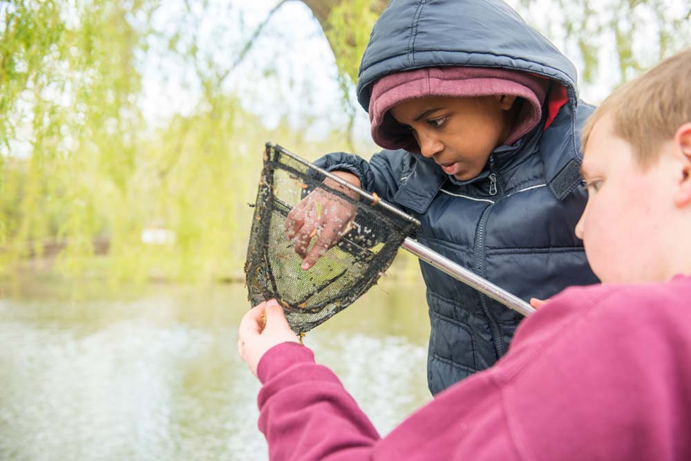 Cub fishing at a pond